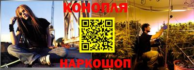 гашик Кулебаки