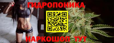 гашик Кулебаки
