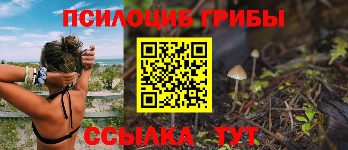 Псилоцибиновые грибы MAGIC MUSHROOMS Касимов