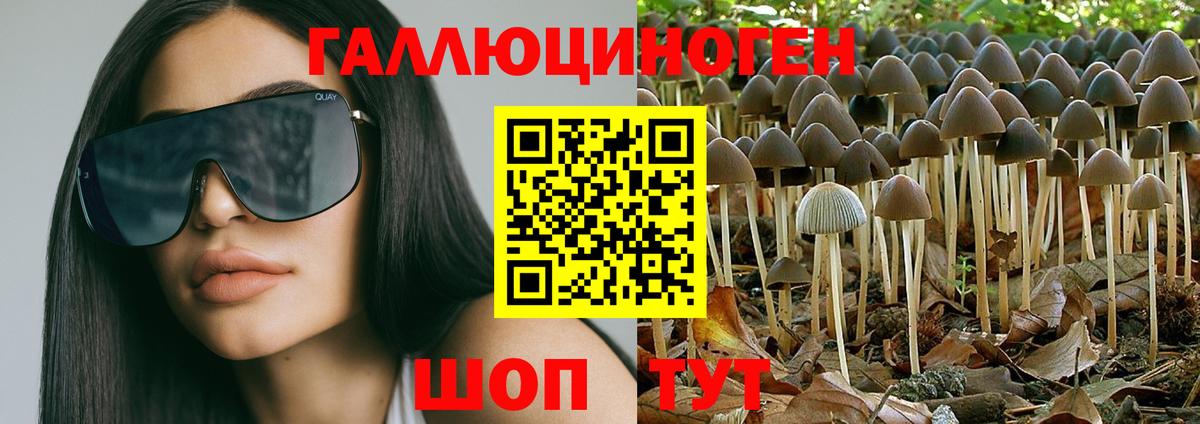 Псилоцибиновые грибы GOLDEN TEACHER  Вход с VPN  Псилоцибиновые грибы мухоморы  Касимов 